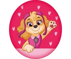 Paw Patrol formos pagalvė