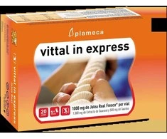 Plameca Vittal In Express