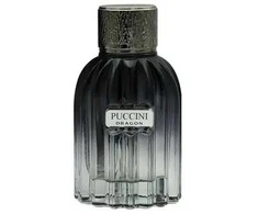 Puccini Dragon EDT tualetinis vanduo vyrams, 100 ml