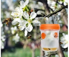 Saulės vabzdžių gaudyklė - oranžinė