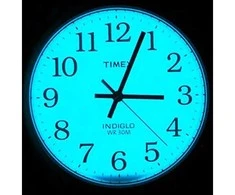 TIMEX Vyriškas laikrodis Easy Reader T2N090 Su auksiniu diržu
