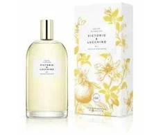 Victorio Lucchino Victorio and Lucchino Victorio and Lucchino Victorio and Lucchino Victorio and Lucchino Victorio and Lucchino Victorio and Lucchino Col V y L Agua N1, 150 ml New