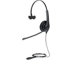 Ausinės Jabra Biz 1500 Mono USB