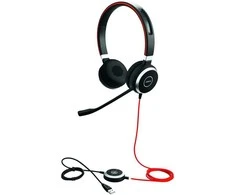 Ausinės su lankeliu Jabra Evolve 40 MS Stereo USB