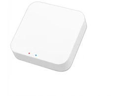 Išmanioji ZigBee-WiFi stotelė Feelspot ZB22