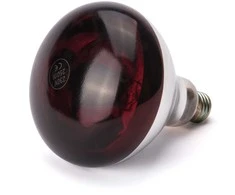 Hendi Infraraudonųjų spindulių lemputė maisto pašildymo lempai E27 250W raudona