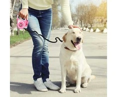 RTO Automatinis pavadėlis LuxPaw, 5 m