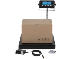 Virtuvinės svarstyklės Pramoninės pašto siuntinių svarstyklės 150kg / 20g LED Steinberg Systems SBS-PT-150C
