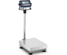 Virtuvinės svarstyklės Steinberg Systems Sandėlio platformos svarstyklės 30 x 40 cm 30 kg / 0,001 kg