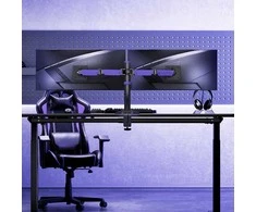Laikiklis Amethyst mount dvigubas monitorius Spacetronik SPAA120
