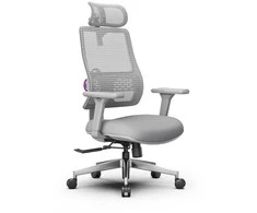 Fotel biurowy sukamasis Spacetronik LUMBO LUMBO-11G