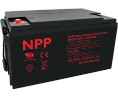 Npp Power Akumuliatorius NPD 12V 65Ah T14 NPP serija DEEP makaronai