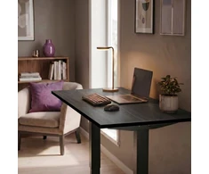 Spacetronik Stalviršis 100x60x2,5 cm Palone mediena