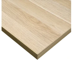 Spacetronik Stalviršis 120x60x2,5 cm Klasikinis ąžuolas