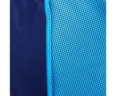Rankšluostis Spokey COSMO 31x84cm , mėlynas