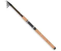 Karpinė meškerė Robinson Ashigari T-Power Carp 3,60m 50-120g