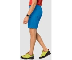 JackWolfskin Šortai vyrams JACK WOLFSKIN ACTIVE TRACK mėlyni