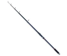 Meškerė Robinson Carbnic T-Carp 3,0 m, 40-90 g