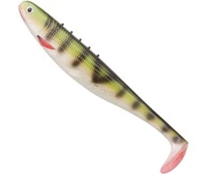 Riperis Dragon Flash 8''/20 cm