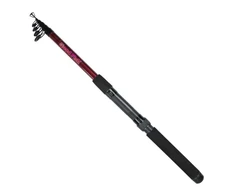 ROBINSON Meškerė GoodFish Dominator Tele Spin, 3m 10-30g