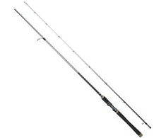 Spiningas Dragon Millenium SP SpeedKing 2,90m 10-30g