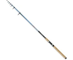 Teleskopinė Meškerė ROBINSON Stinger Tele Carp 40-90g