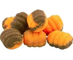Vafteriai Dragon Magnum Pop-Up Pupae, 8 mm, 60 ml, apelsinas-šokoladas