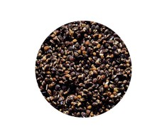 Virtos sėklos ir Kanapių mišinys Genlog HEMP NATURAL 1kg