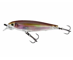 Vobleris Yo-Zuri 3DR Minnow R1309 10cm 17g