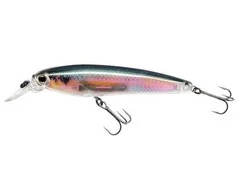 Vobleris Yo-Zuri 3DR Minnow R1309 10cm 17g