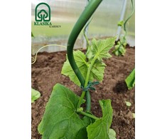Klasika Garden Kuoliukai augalams, spiraliniai, klasikinio tipo, metaliniai, žali 120cm, 150cm, 180cm - 120 cm