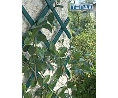 Tenax Grotelės TREPLAS vijoklinėms gėlėms - 1x3m
