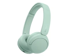 SONY WH-CH530G Ausinės