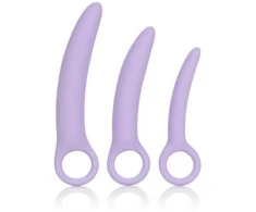 Calexotics Alena Set of 3 Dilators Violetinė