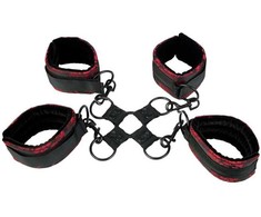 Calexotics Apkaustai - SCANDAL HOG TIE