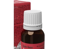 Cobeco Spanish Drops Raspberry Romance 15ml - Flavored Energy Formula