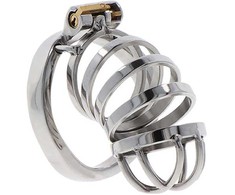 Hidden Desire Extreme Metal Chastity System, Adjustable, 7.9 cm, Sidabrinis
