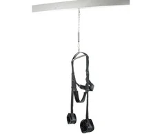 Pipedream FFS Spinning Fantasy Swing