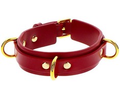 Taboom D-Ring Collar Deluxe