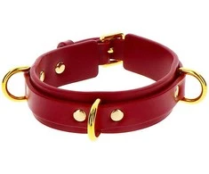 Taboom D-Ring Collar Deluxe