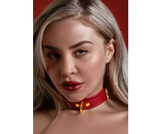 Taboom D-Ring Collar Deluxe