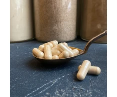 Ekologiška kuokštinė grifolė (Maitake) kapsulės 500 mg (vnt)