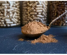Ekologiškas kininis kordicepsas (Cordyceps), milteliai 100 g