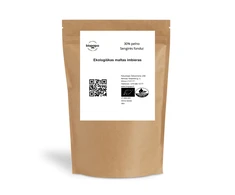 Ekologiškas maltas imbieras 400g