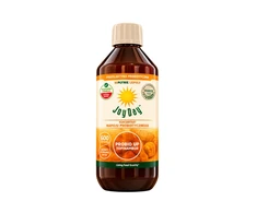 Ekologiškas probiotinis gėrimas su topinambais be glitimo, 500 ml