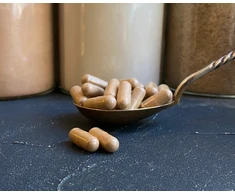 Ekologiškas tikrinis blizgutis (reishi) grybas, 500 mg kapsulėse