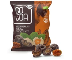 Ekologiški dumplainiai juodajame šokolade RAW, 70 g
