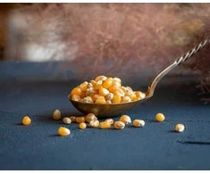 Ekologiški kukurūzai spragėsiams (Popcorn) 25 kg