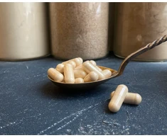 Ekologiški valgomieji danteniai (Šitake) grybai, 400 mg kapsulės