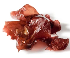 Ekologiškos džiovintos jūros daržovės DULSE (dribsniai) - 50 g